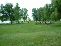 Videó