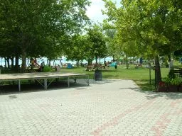 Videó