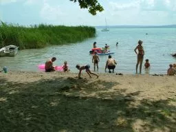 Videó