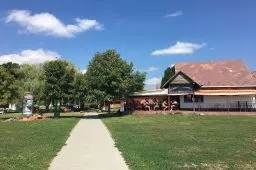 Videó
