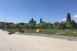 Videó