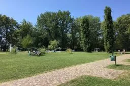 Videó