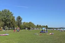 Videó