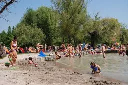 Videó