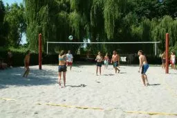 Videó