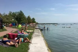 Videó