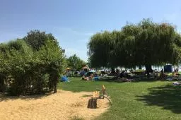 Videó