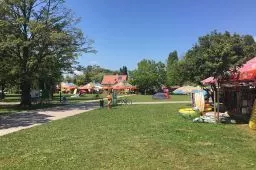 Videó