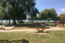 Videó
