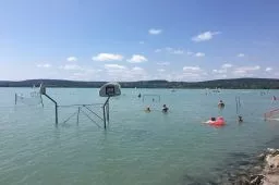 Videó