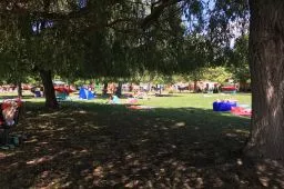 Videó