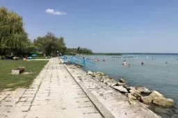 Videó