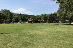 Videó