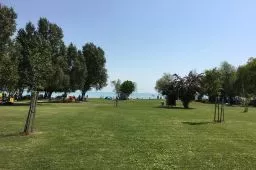 Videó