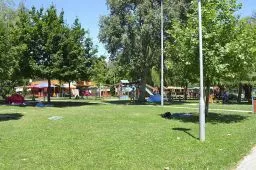 Videó