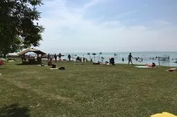 Videó