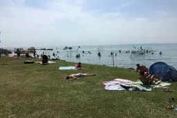 Videó