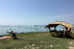 Videó