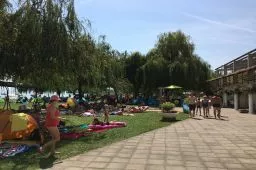 Videó