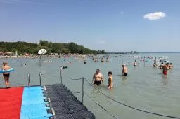 Videó