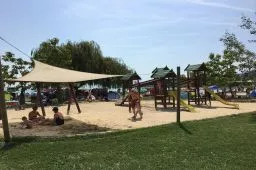 Videó