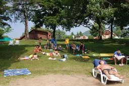 Videó