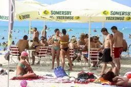 Videó