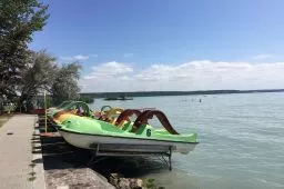Videó