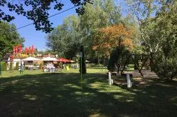 Videó