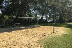 Videó