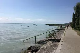 Videó
