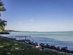 Videó