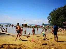 Videó