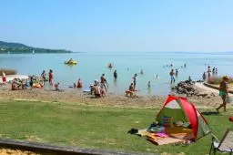 Videó