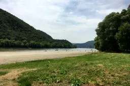 Videó