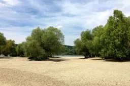 Videó