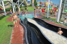 Videó