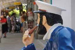 Videó