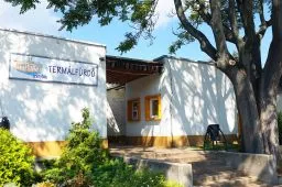 Videó