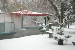 Videó