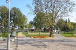 Videó