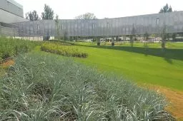Videó