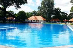 Videó