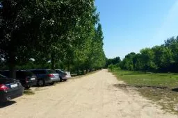 Videó