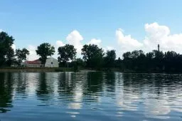 Videó