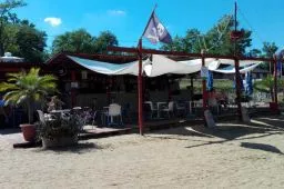 Videó