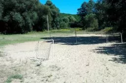 Videó