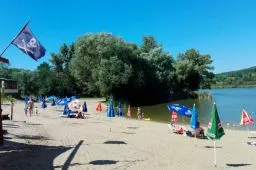 Videó