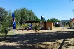 Videó