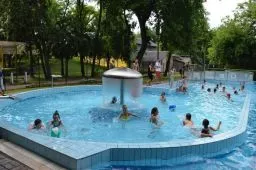 Videó